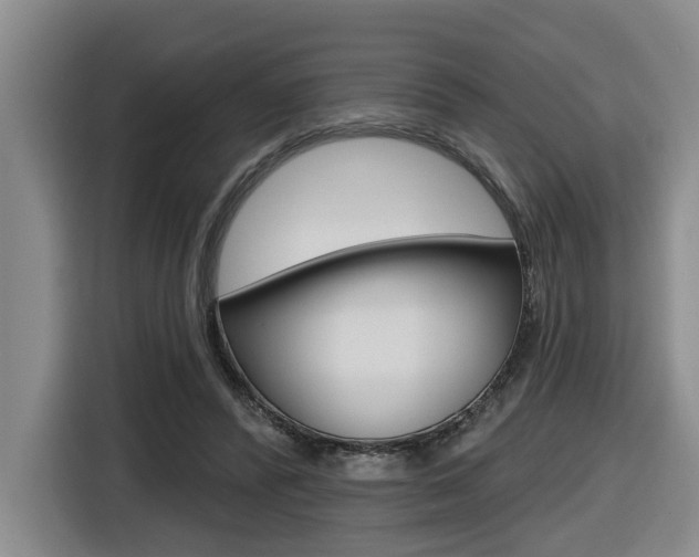 X0000116570400200912101007