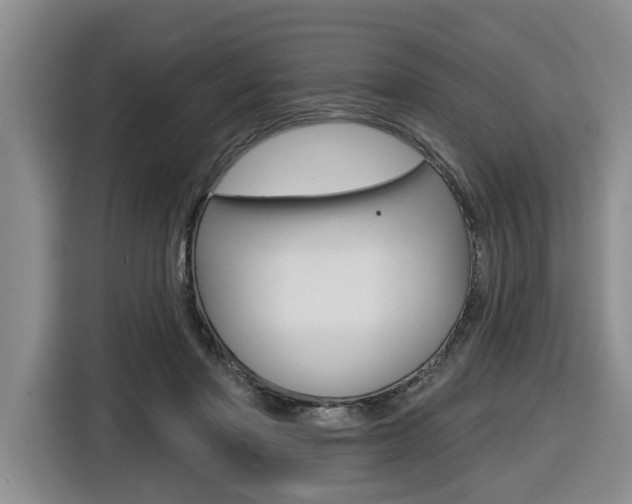 X0000116570406200912101007