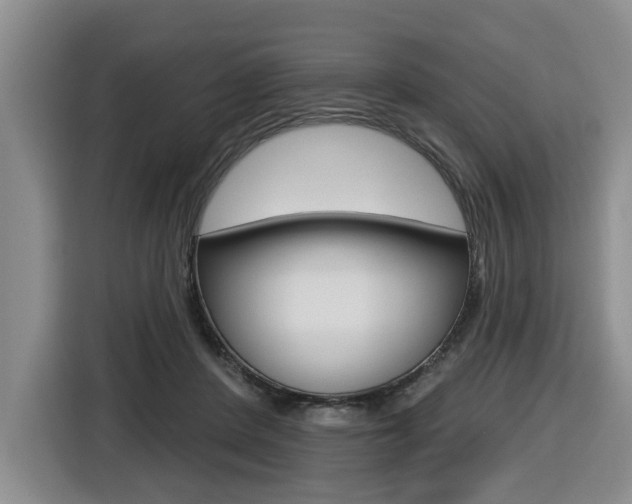 X0000116570408200912101007