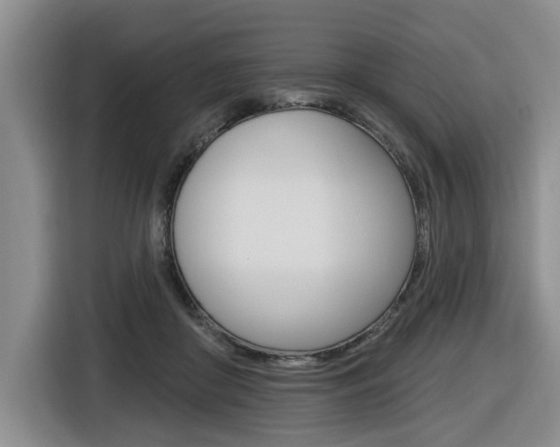 X0000116570410200912101007