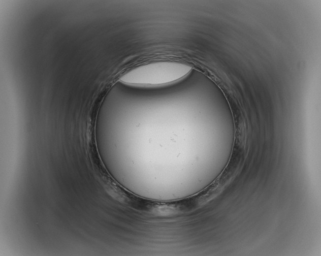 X0000116570413200912101007