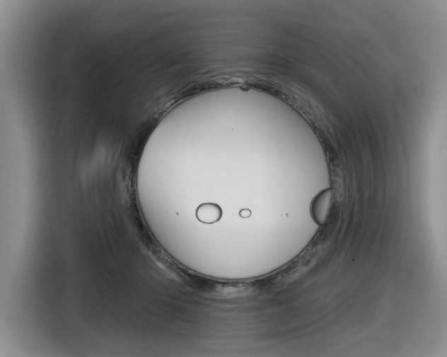 X0000116570414200912101007