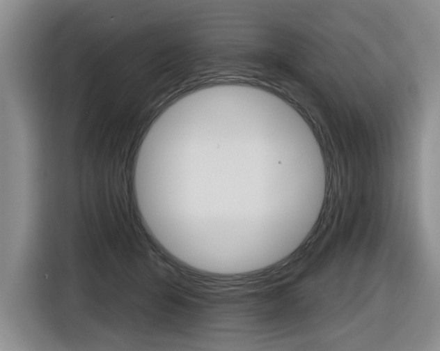 X0000116570415200912101007