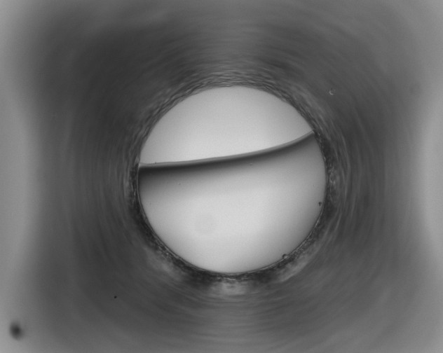 X0000116570416200912101007