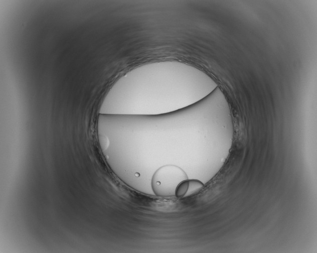 X0000116570418200912101007