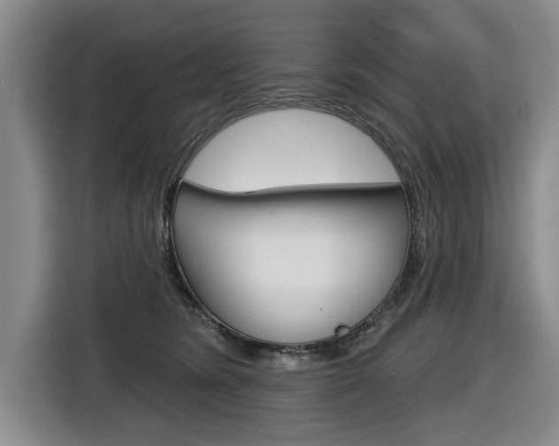 X0000116570420200912101007