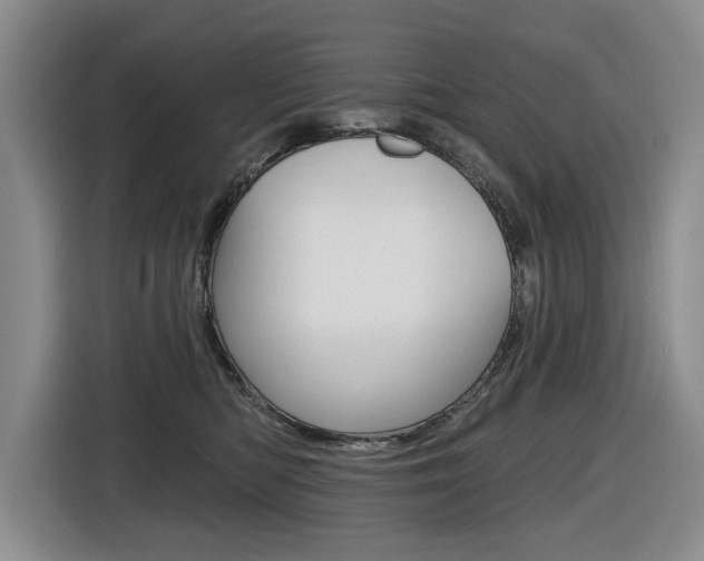 X0000116570422200912101007