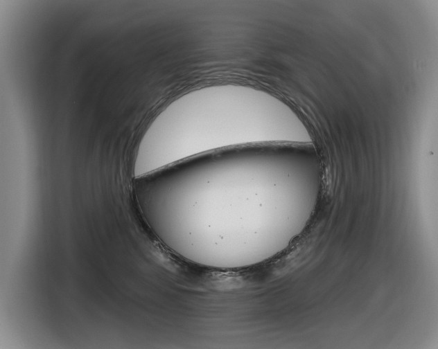 X0000116570424200912101007