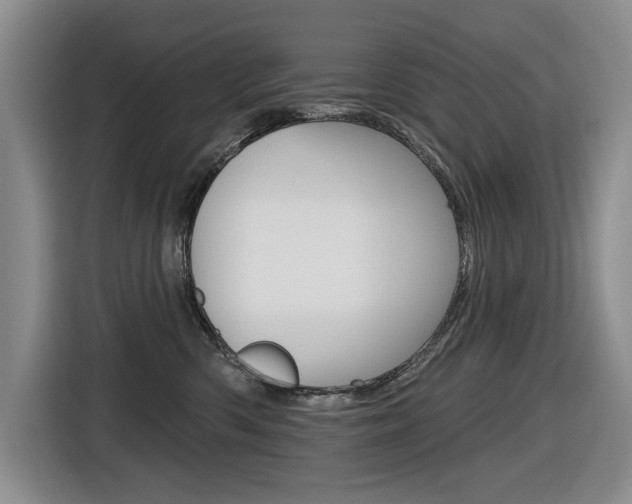 X0000116570426200912101007