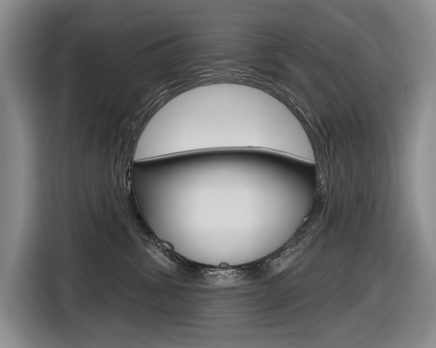 X0000116570428200912101007