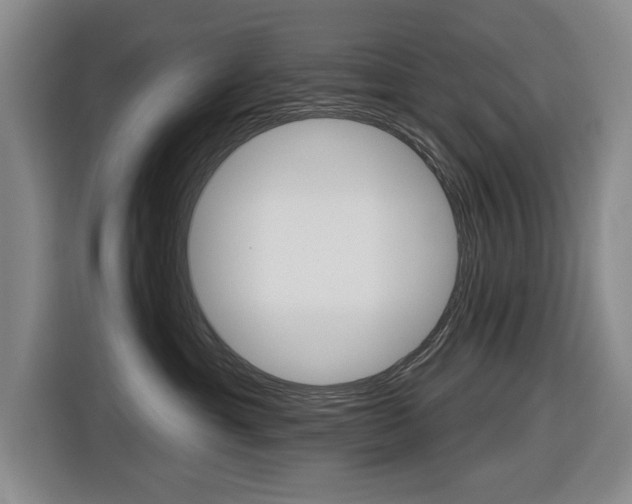 X0000116570429200912101007