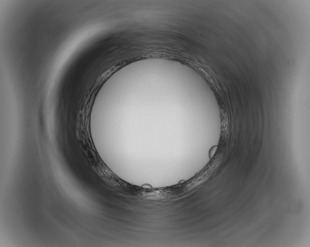 X0000116570430200912101007