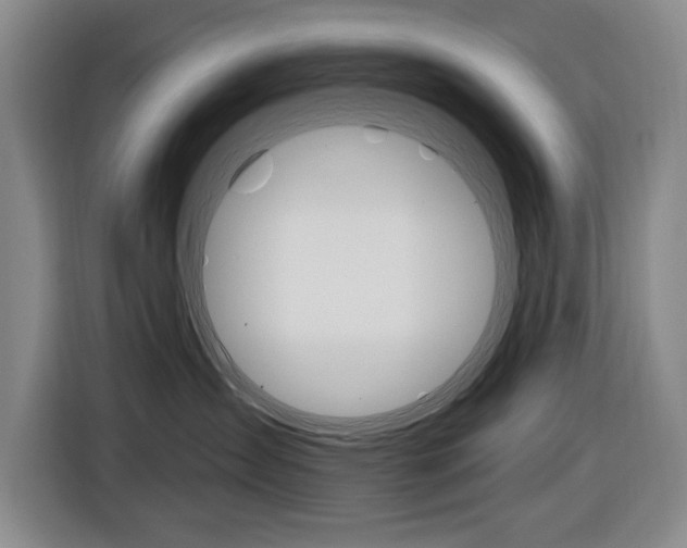 X0000116570431200912101007