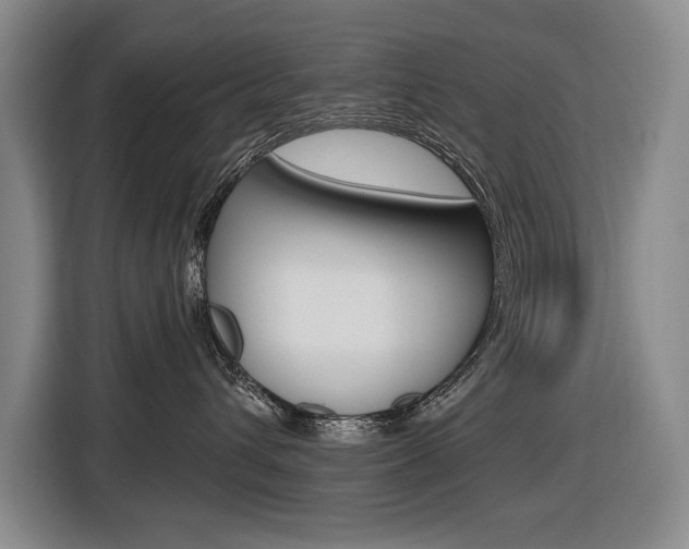 X0000116570432200912101007