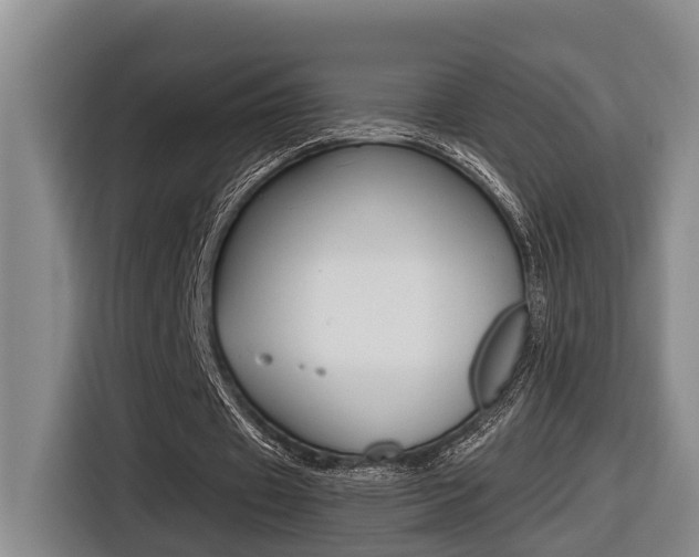 X0000116570433200912101006