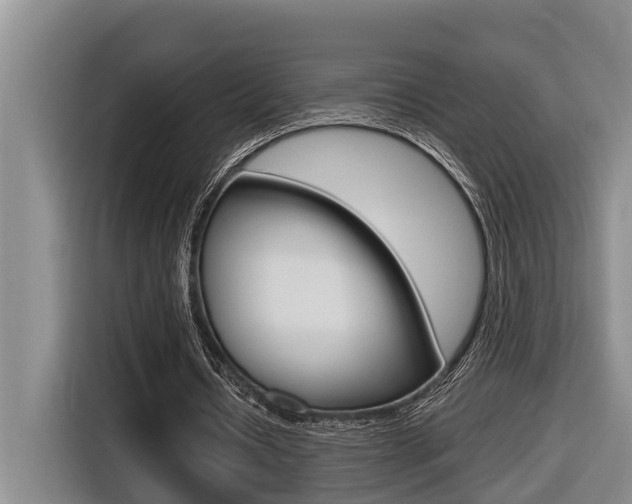 X0000116570434200912101006