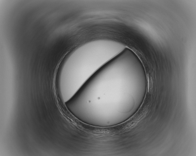 X0000116570435200912101006