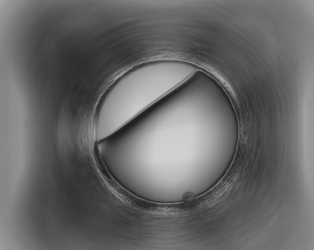 X0000116570437200912101006