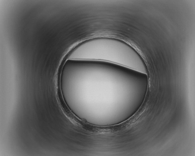 X0000116570438200912101006