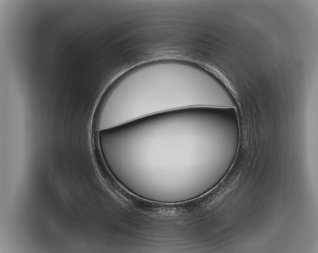 X0000116570439200912101006