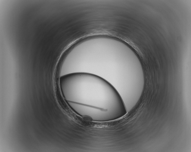 X0000116570440200912101006