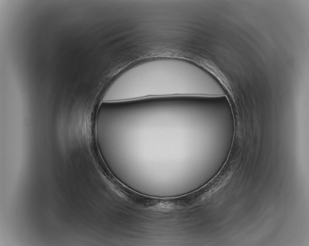 X0000116570441200912101006