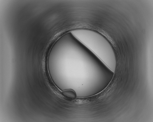 X0000116570442200912101006