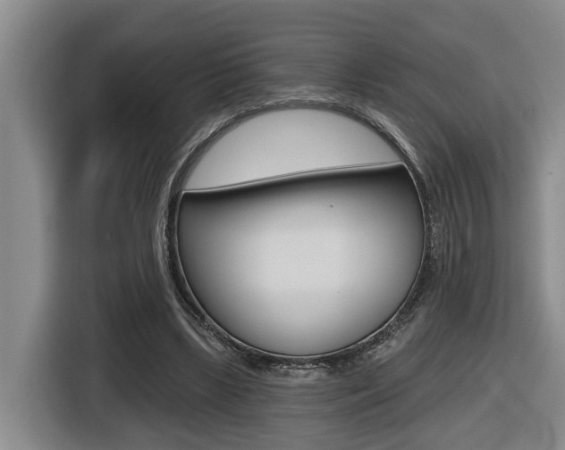 X0000116570443200912101006