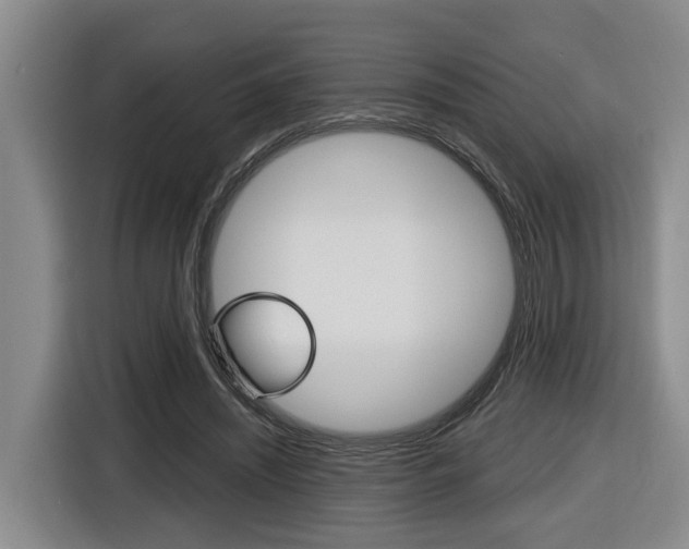 X0000116570444200912101006