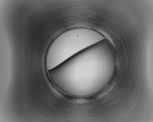 X0000116570445200912101006