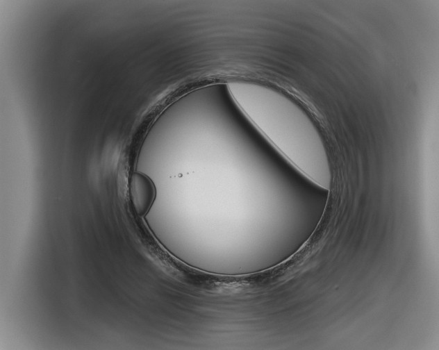 X0000116570446200912101007