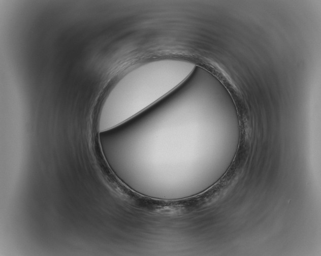 X0000116570447200912101007