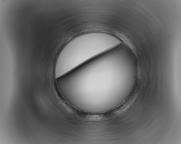 X0000116570449200912101007