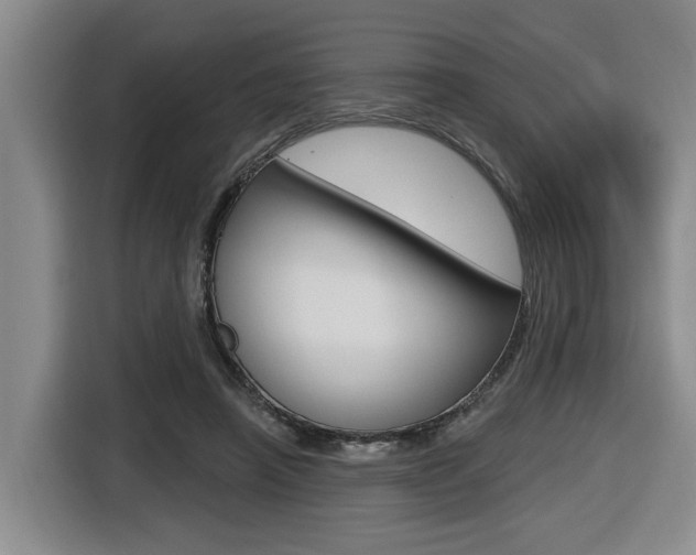 X0000116570450200912101007