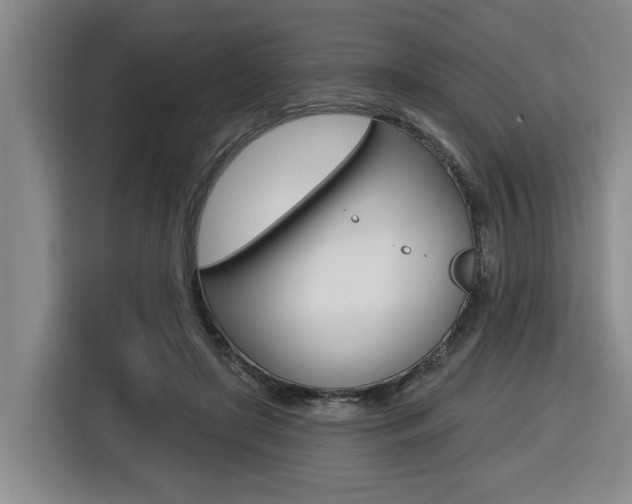 X0000116570451200912101007