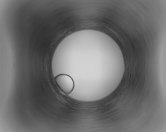 X0000116570452200912101007