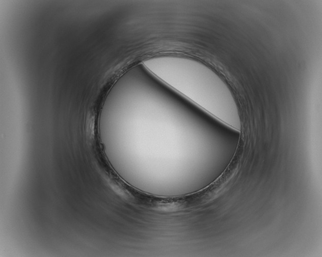 X0000116570454200912101007