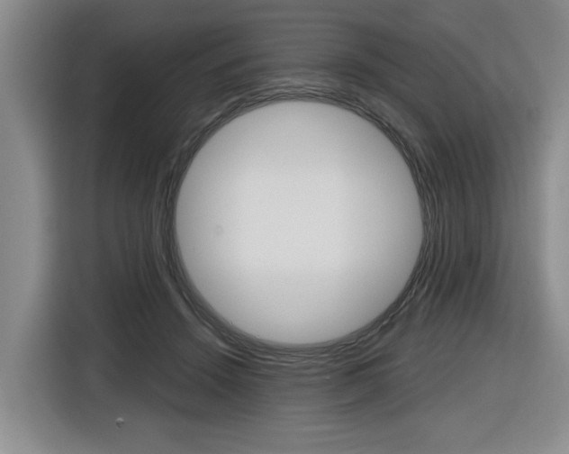 X0000116570456200912101007