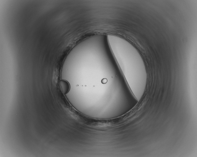 X0000116570458200912101007