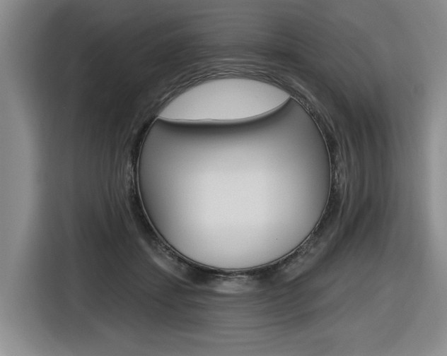 X0000116570459200912101007