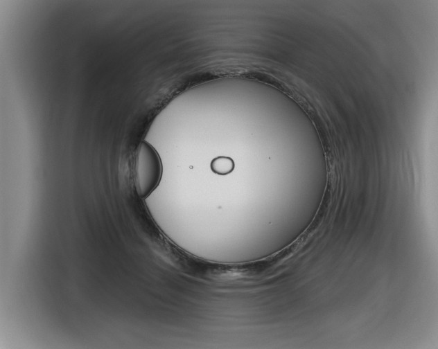 X0000116570460200912101007