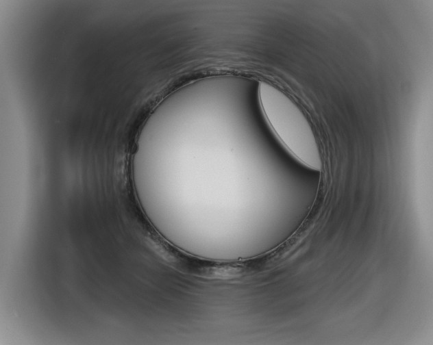 X0000116570462200912101007