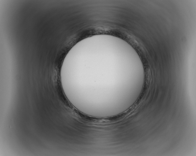 X0000116570463200912101007