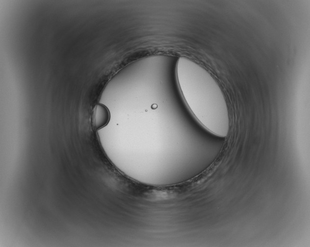 X0000116570464200912101007