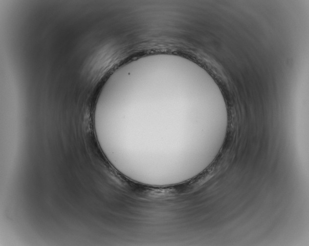 X0000116570465200912101007