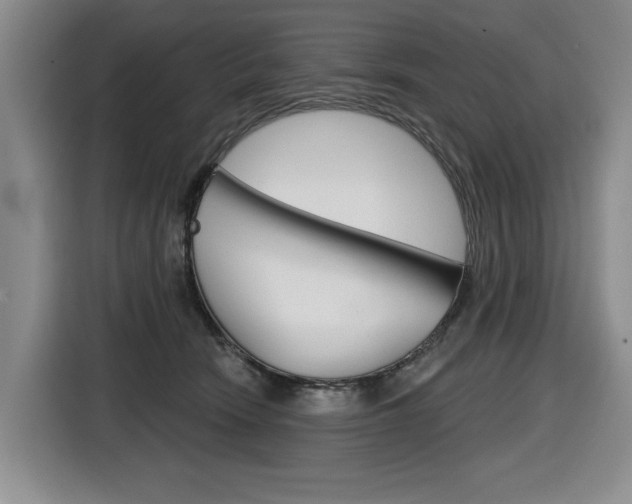 X0000116570466200912101007