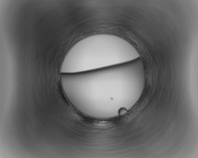 X0000116570467200912101007