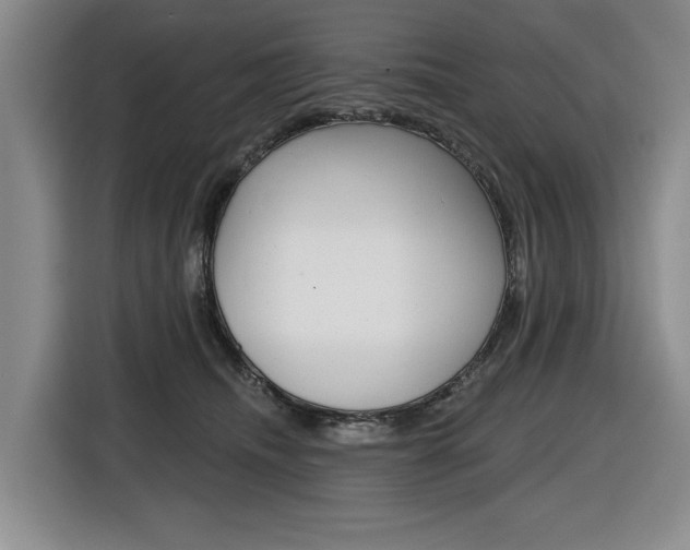 X0000116570468200912101007