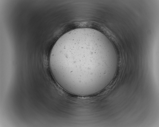 X0000116570469200912101007