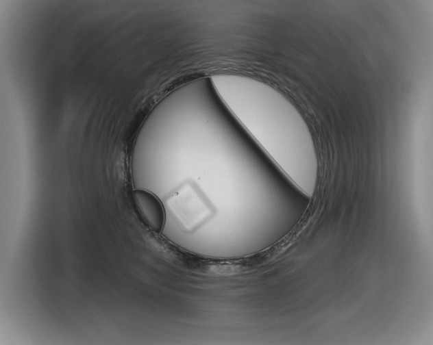 X0000116570470200912101007